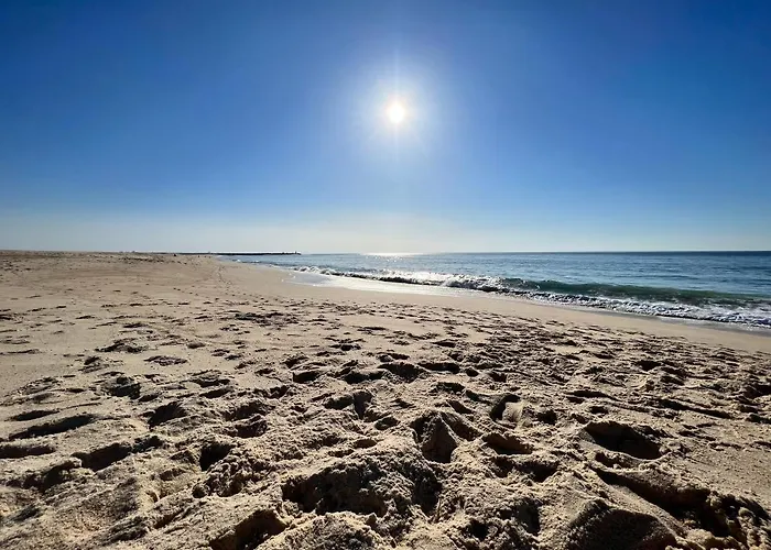 Oasis